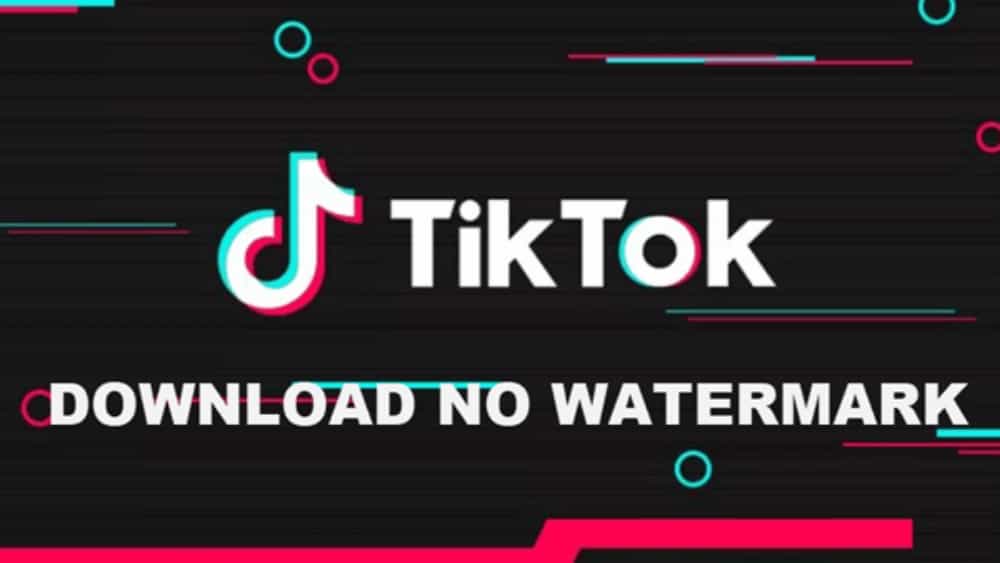 Snaptik - แอปพลิเคชันดาวน์โหลดวิดีโอ Tiktok (Douyin) แบบไม่มีลายน้ำฟรี