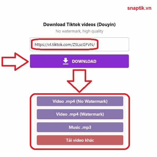 Plak de videolink Tiktok (Douyin) en selecteer de downloadknop