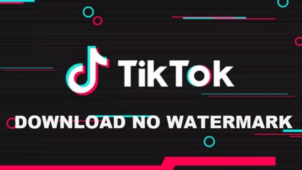 Snaptik – Aplikace pro bezplatné stahování videí Tiktok (Douyin) bez vodoznaku