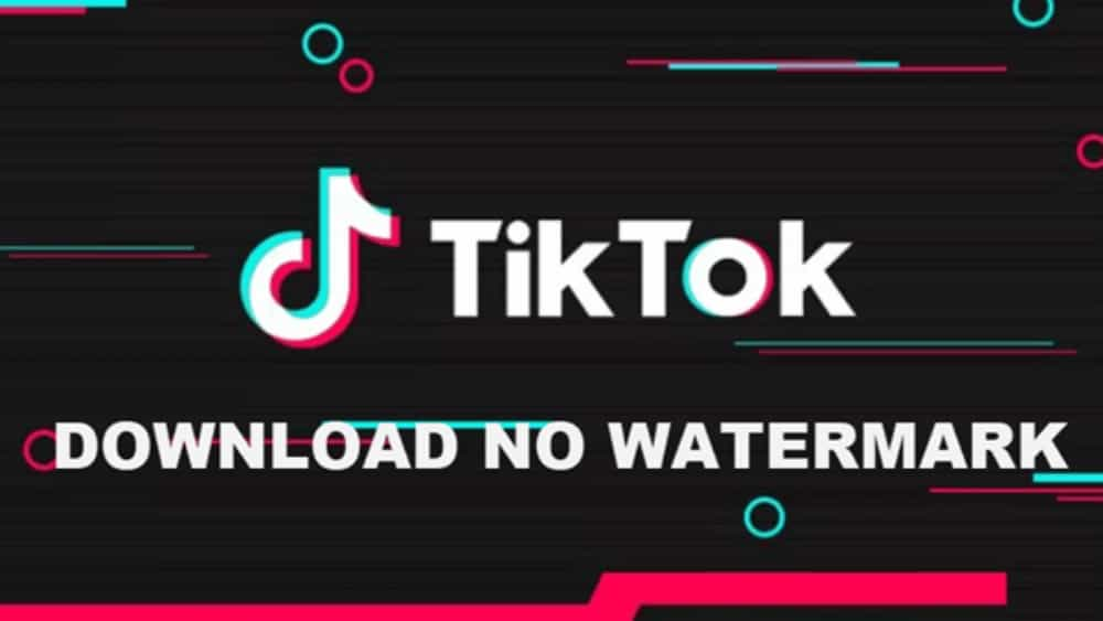 Làm thế nào để tải video Tiktok không logo dễ dàng và nhanh chóng? 
