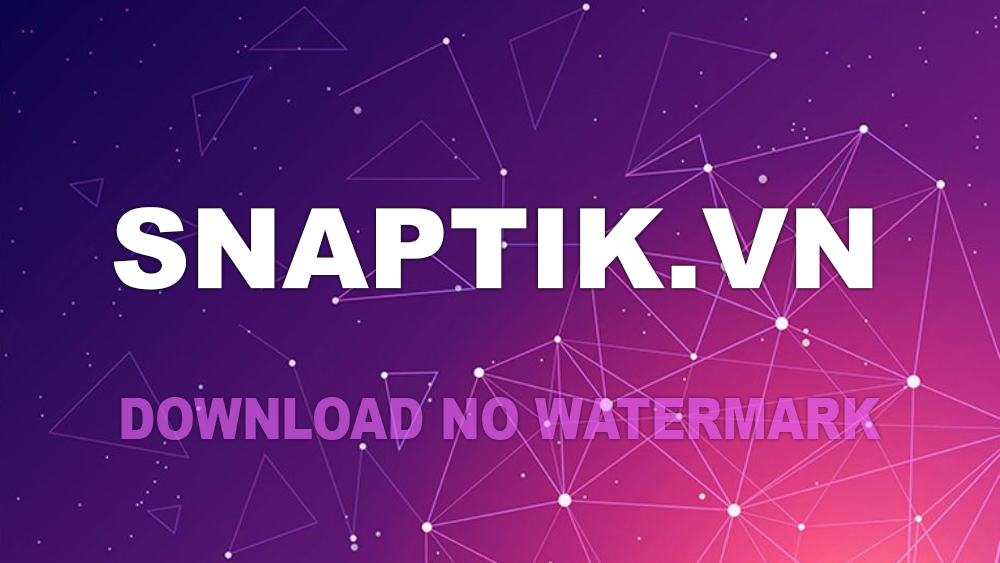 Snaptik App Download Tiktok Videos Without Logo