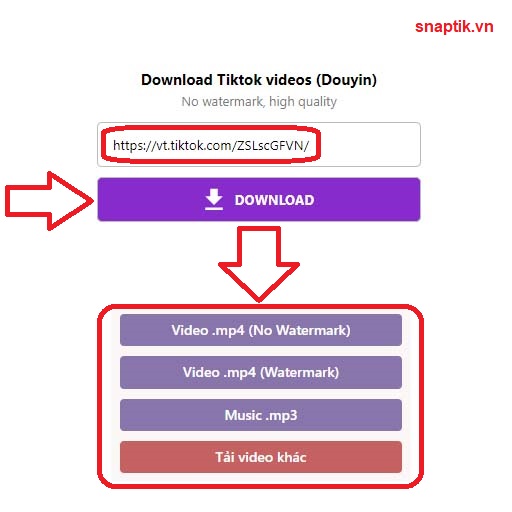Dán liên kết video Tiktok (Douyin) và chọn nút "Download"